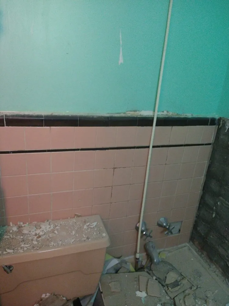 Professional landscape design in New York, NY - Garbage Removal