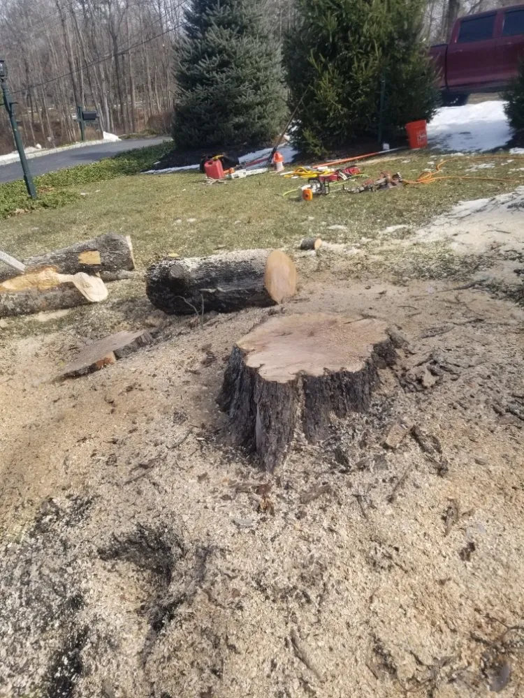 Affordable garden landscaping experts serving Mount Kisco, NY - García Landscapin & Design