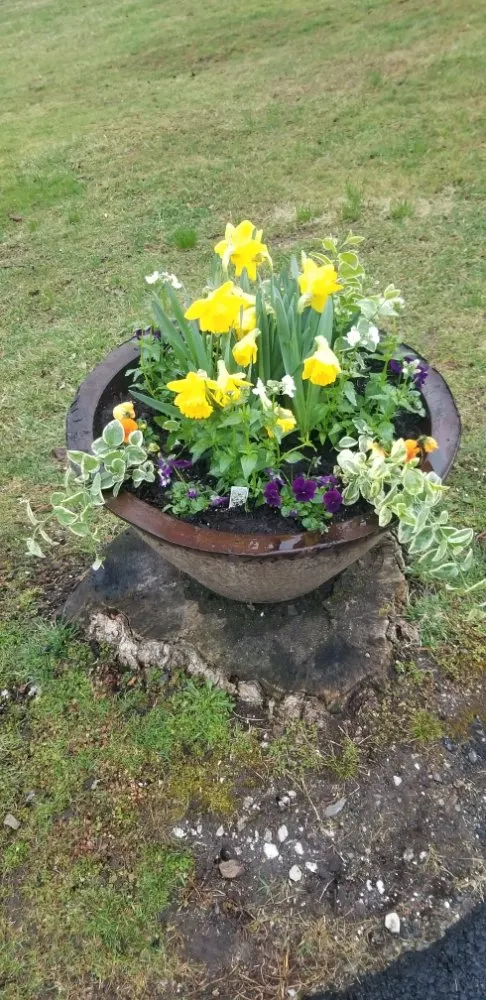 Reliable landscape design experts serving Mount Kisco, NY - García Landscapin & Design