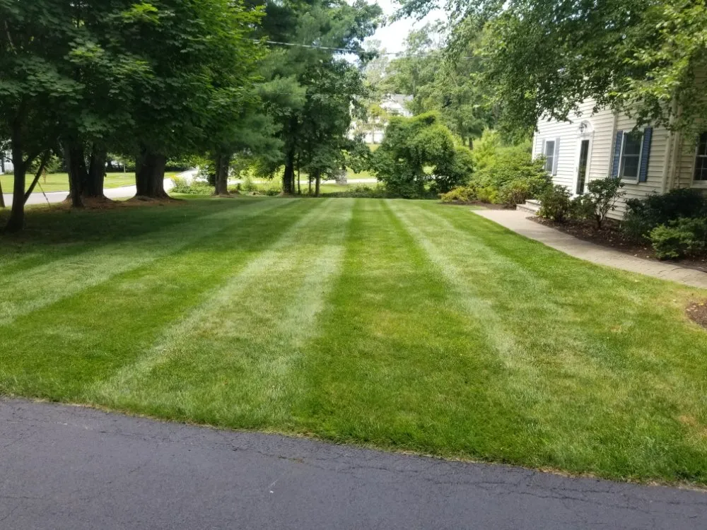 Local landscaping services for beautiful yards across Mount Kisco, NY - García Landscapin & Design