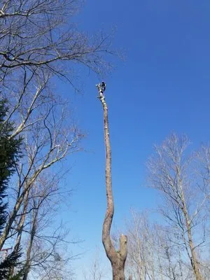 García Landscapin & Design