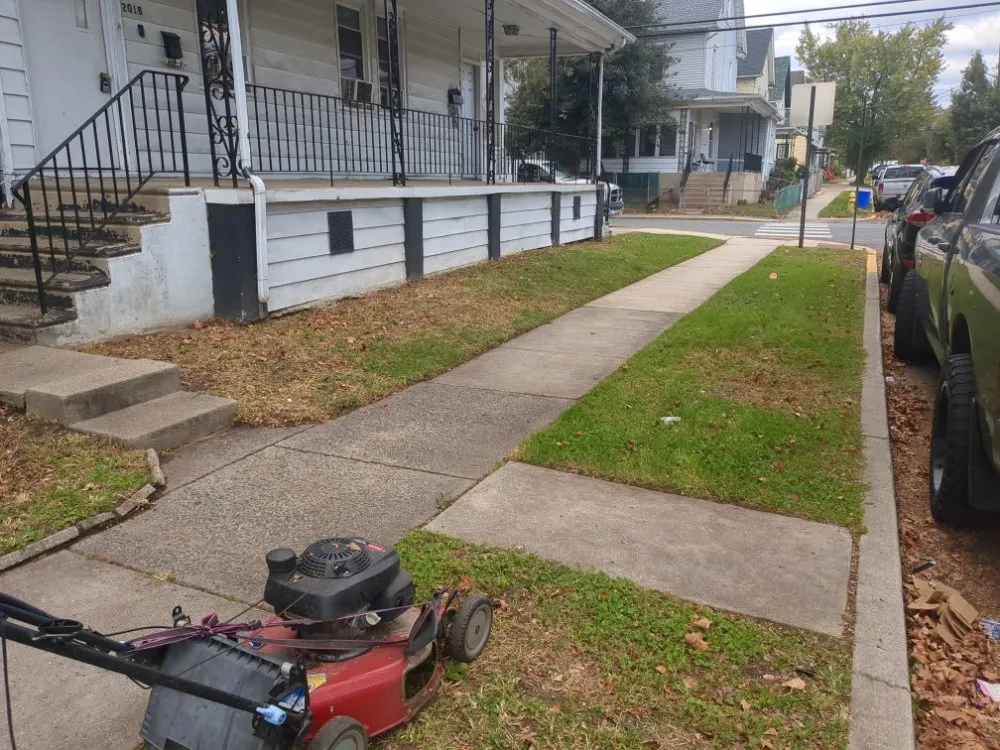 Reliable garden landscaping in West Collingswood Heights, NJ - García landscaping