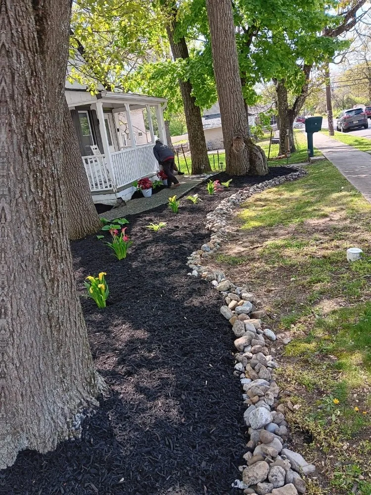 Expert yard cleanup service in West Collingswood Heights, NJ by García landscaping