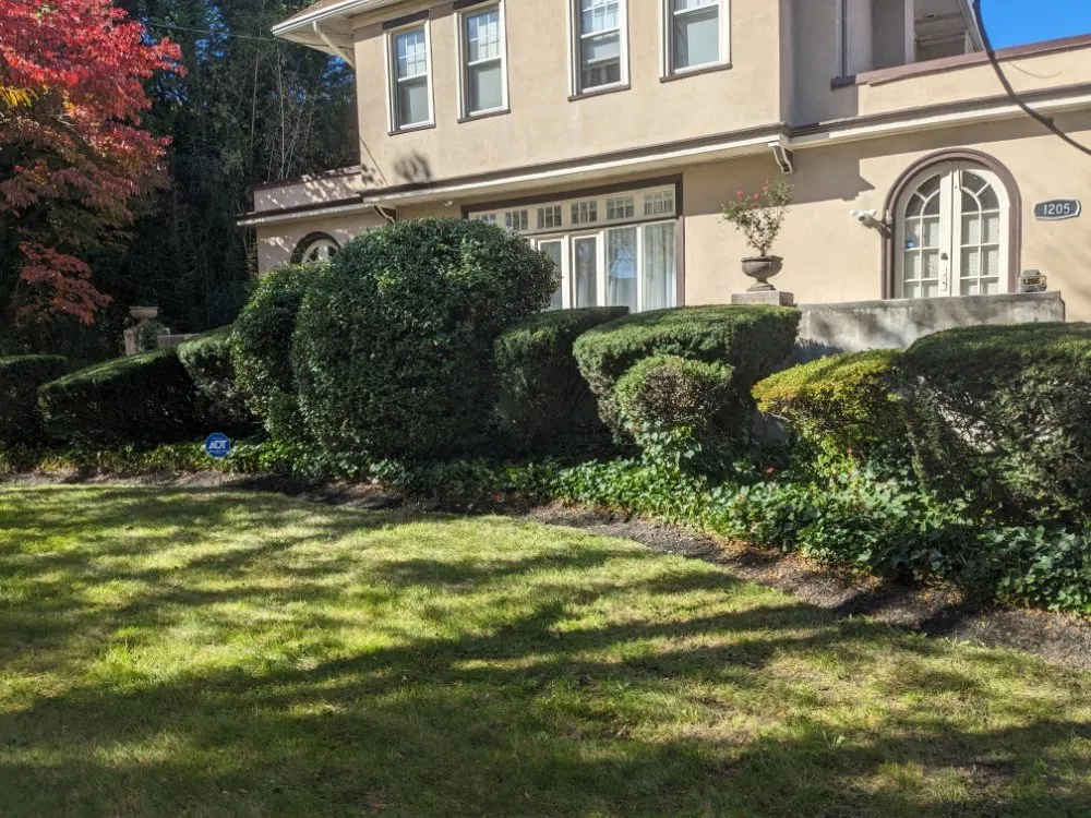 Trusted landscaping services in West Collingswood Heights, NJ by García landscaping
