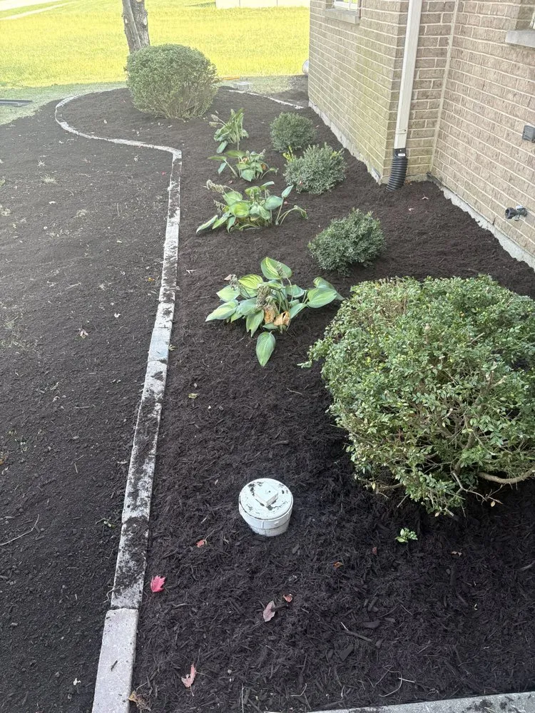 Professional landscape design for outdoor upgrades in Monee, IL by Garcia & Son Landscaping