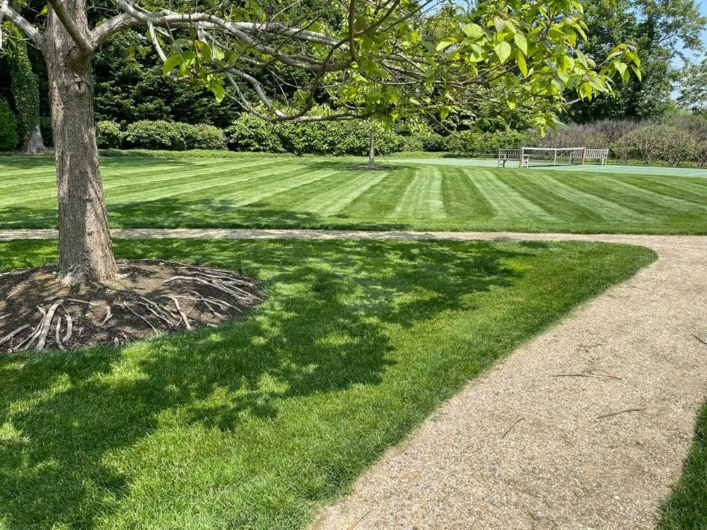Expert lawn care service in Riverhead, NY - Garcia And Sons Landscaping