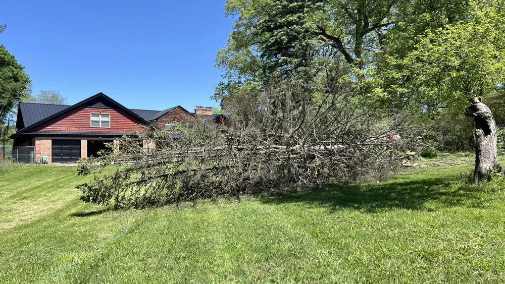 Top-rated yard cleanup service for beautiful yards in South Bend, IN by Garcia and Sons