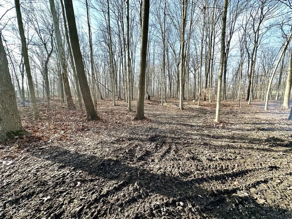 Local landscaping services for beautiful yards in South Bend, IN by Garcia and Sons