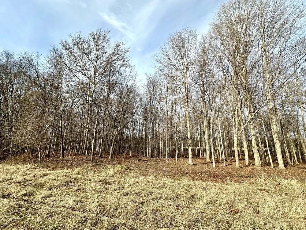 Affordable yard maintenance in South Bend, IN by Garcia and Sons