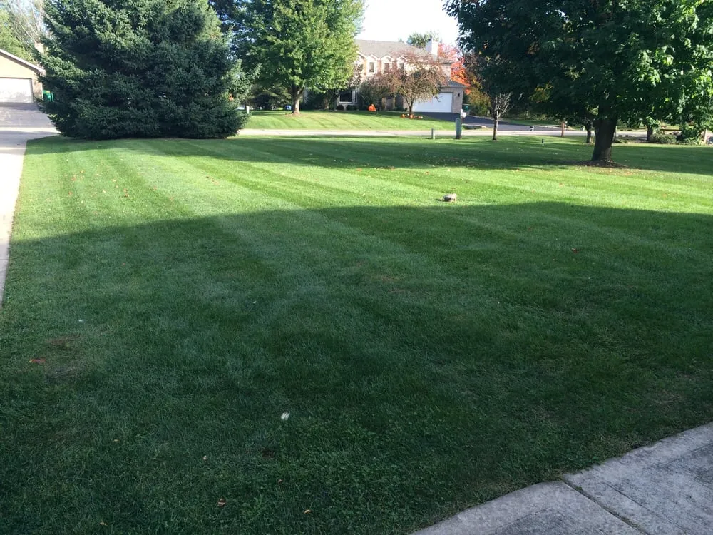 Top-rated yard cleanup service experts serving Elgin, IL - Garcia Arias Lawn Maintenance
