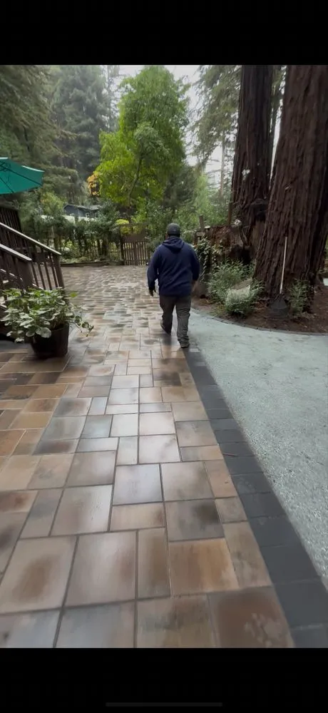 Trusted lawn care service experts serving Salinas, CA - Garcia Bros