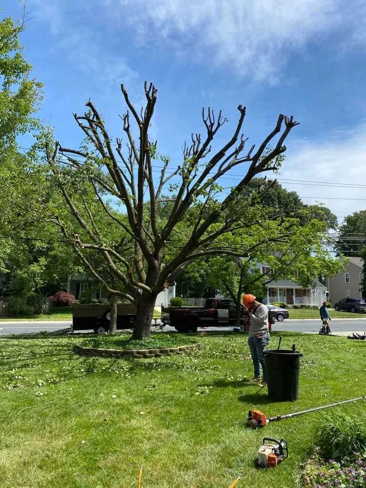 Local lawn care service in Glen Burnie, MD - Garcia Brothers Landscaping