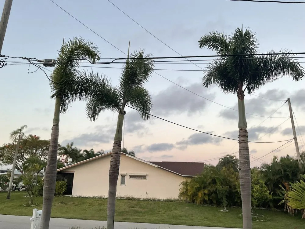 Expert yard cleanup service near you in Cape Coral, FL by Garcia Dream Cutz