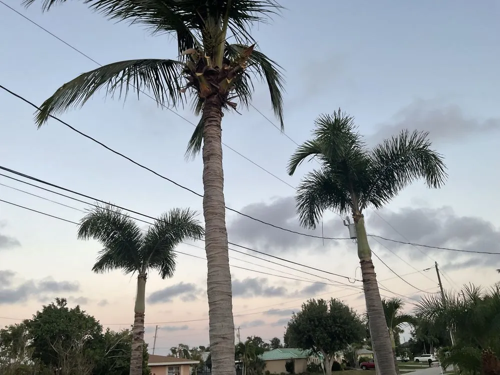 Trusted landscaping services for residential properties across Cape Coral, FL - Garcia Dream Cutz