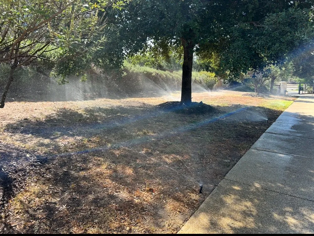 Trusted residential landscaping for beautiful yards in San Antonio, TX by Garcia EcoSprinklers