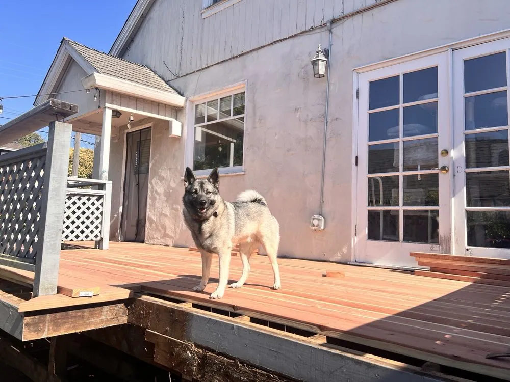 Custom landscape installation experts serving San Leandro, CA - Garcia Fencing Landscaping & Tree Service