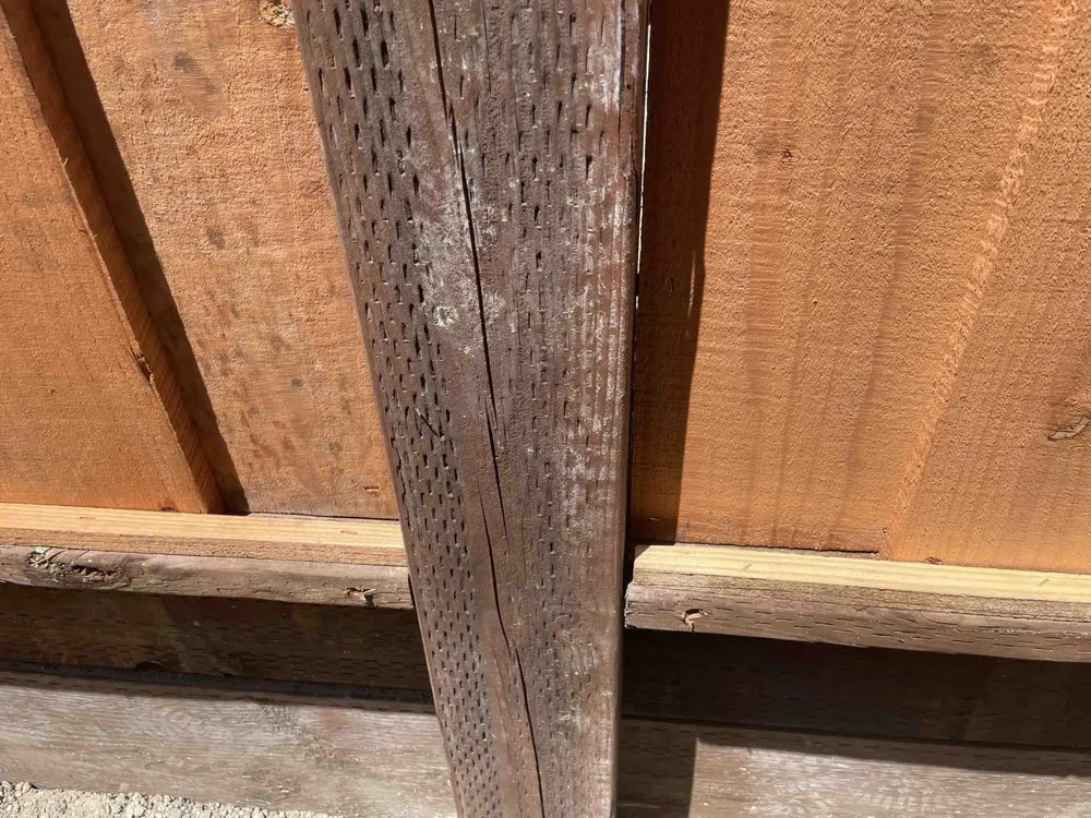 Reliable yard maintenance experts serving San Leandro, CA - Garcia Fencing Landscaping & Tree Service