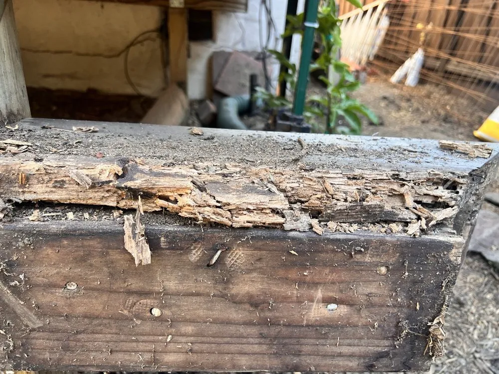 Affordable outdoor landscaping for homes in San Leandro, CA by Garcia Fencing Landscaping & Tree Service