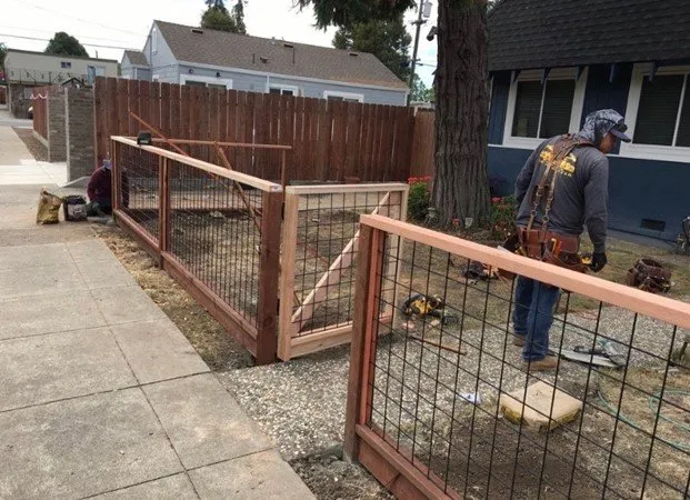 Expert yard maintenance experts serving San Leandro, CA - Garcia Fencing Landscaping & Tree Service