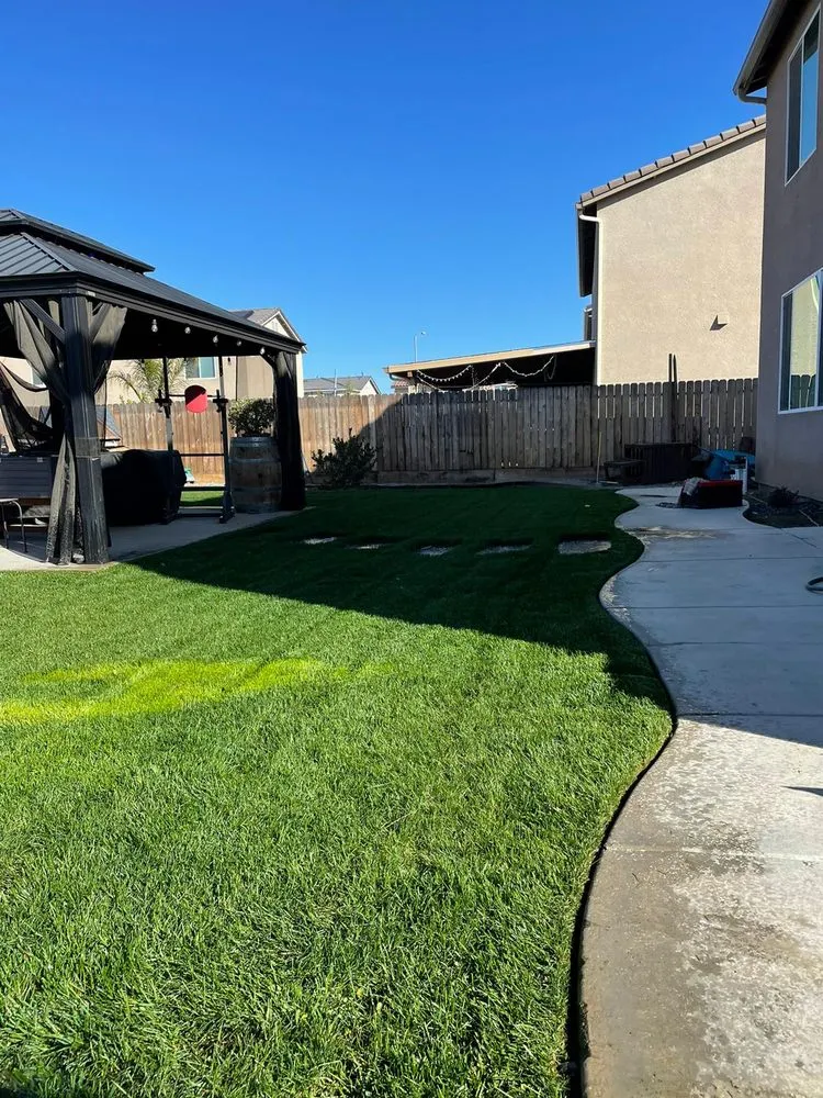 Local yard cleanup service in Fresno, CA - Garcia Gardening