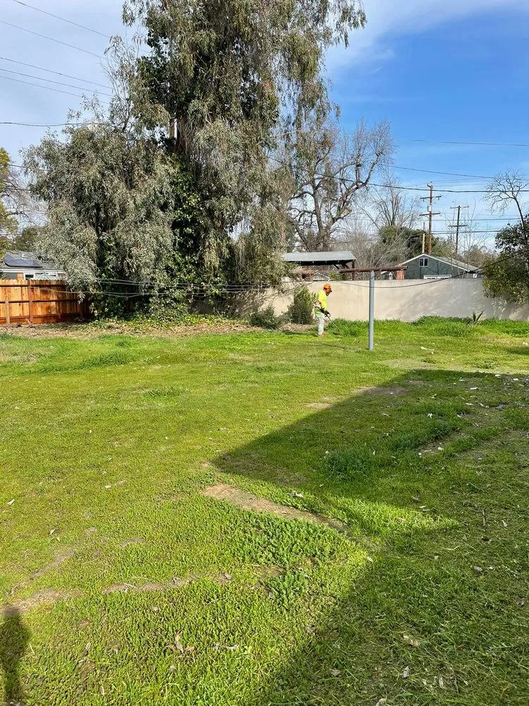 Top-rated landscaping services for outdoor upgrades across Fresno, CA - Garcia Gardening