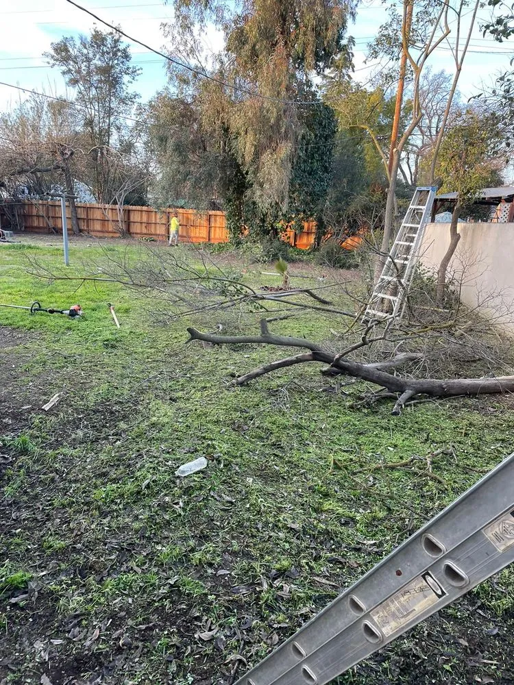 Professional lawn care service in Fresno, CA - Garcia Gardening