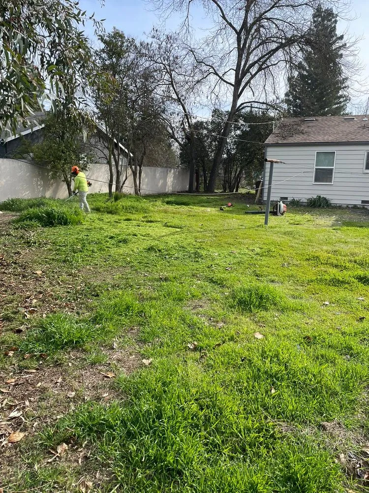 Top-rated yard cleanup service in Fresno, CA by Garcia Gardening