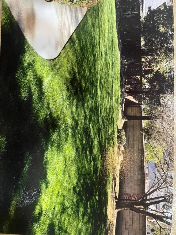 Trusted garden landscaping in Fresno, CA by Garcia Gardening