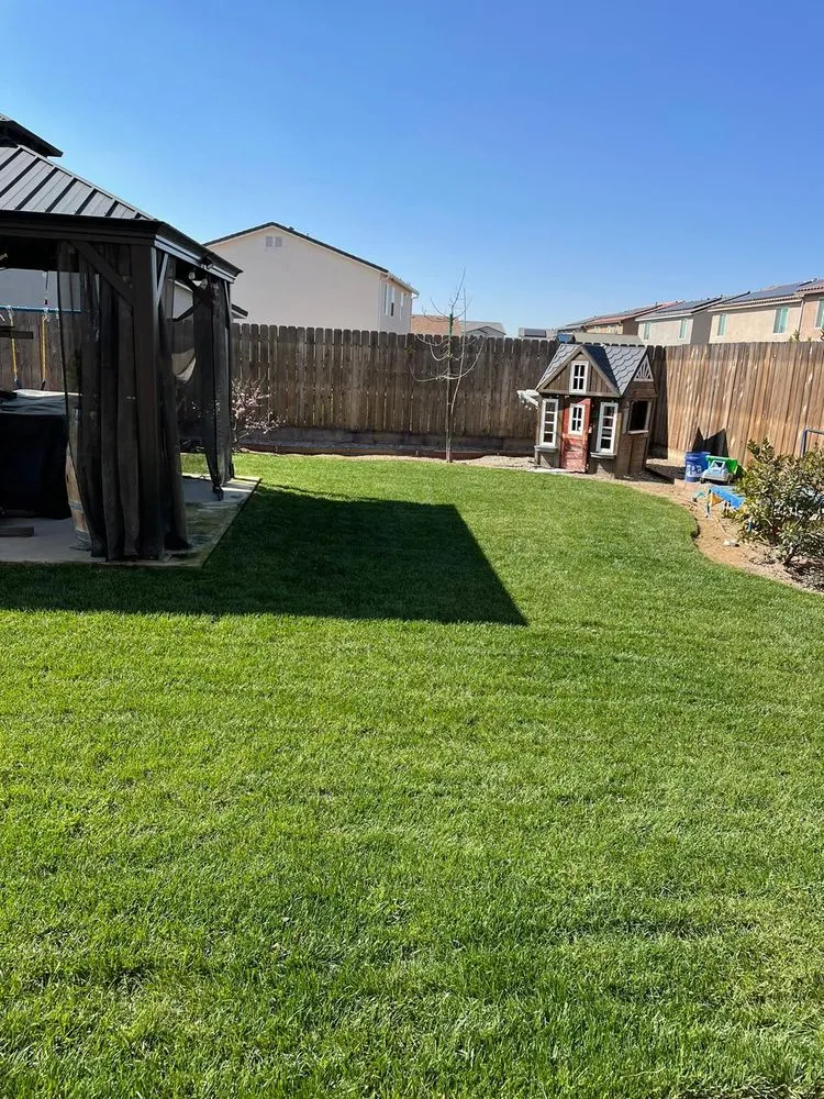 Affordable yard cleanup service for residential properties across Fresno, CA - Garcia Gardening
