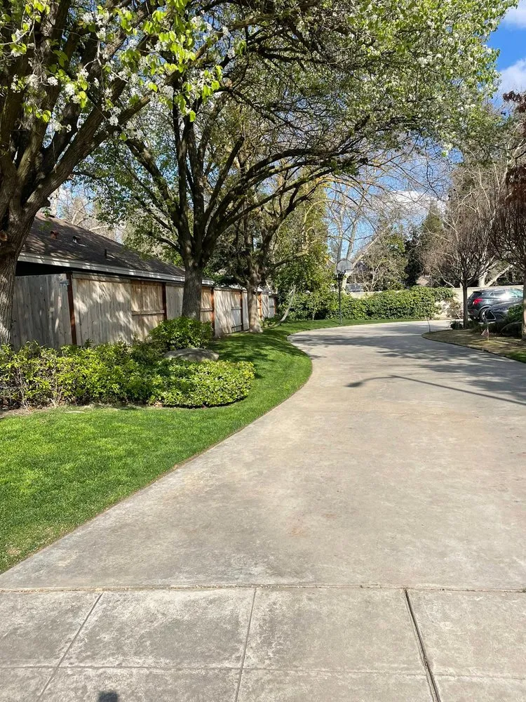 Expert outdoor landscaping in Fresno, CA - Garcia Gardening