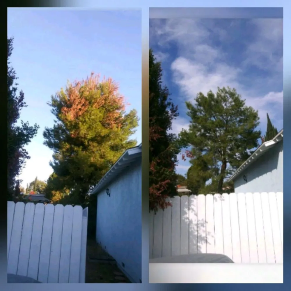 Affordable garden landscaping with custom design across Altadena, CA - Garcia Gardening Services