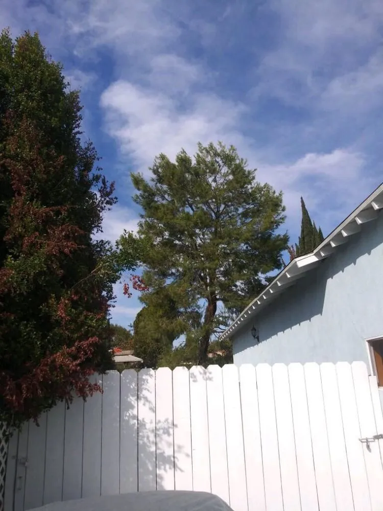 Trusted landscaping services in Altadena, CA - Garcia Gardening Services