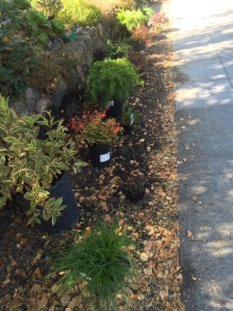 Top-rated landscaping services experts serving Oakland, CA - Garcia Gardening Services