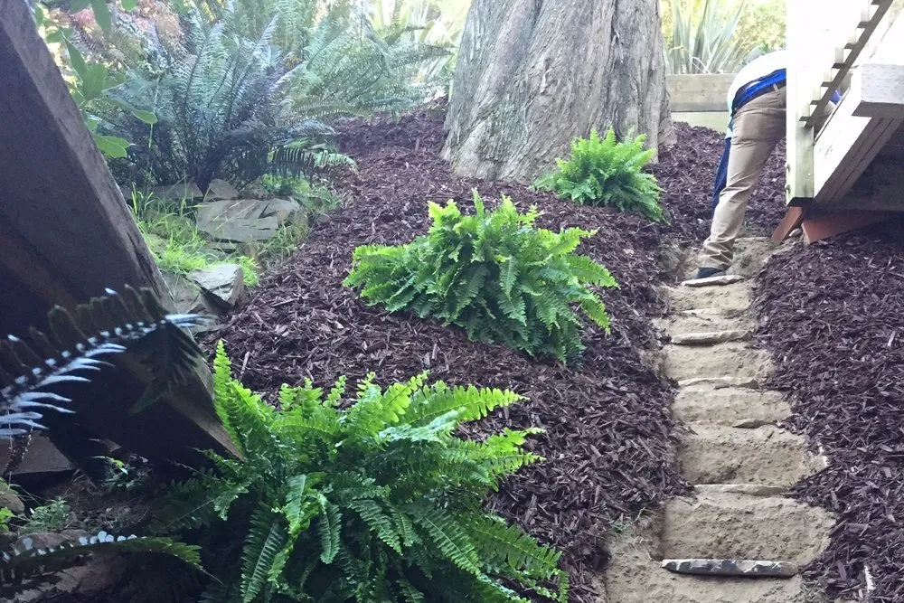 Expert lawn care service for year-round maintenance across Oakland, CA - Garcia Gardening Services