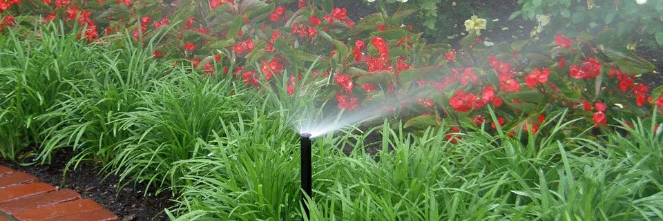 Expert lawn mowing service in Oakland, CA by Garcia Gardening Services