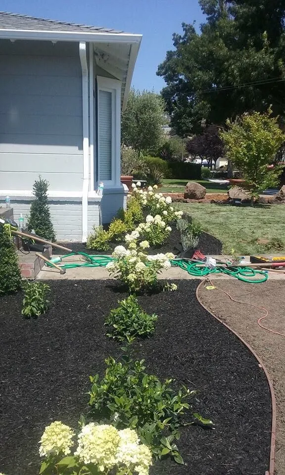 Affordable landscape design in Oakland, CA by Garcia Gardening Services