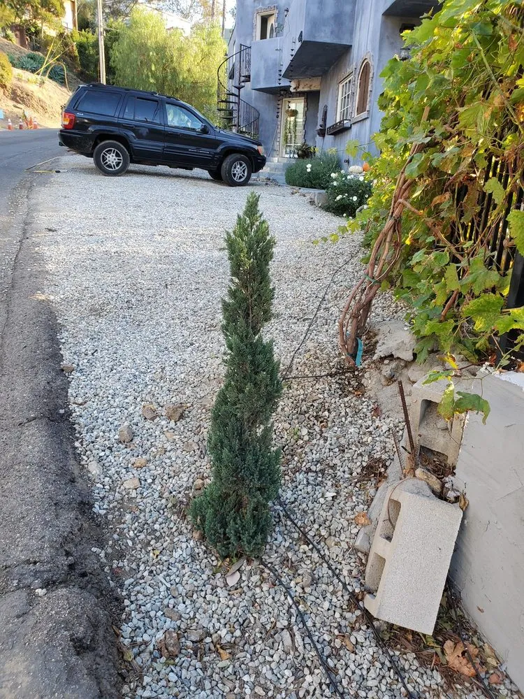 Local landscaping services in Reseda, CA - Garcia Gardening Services