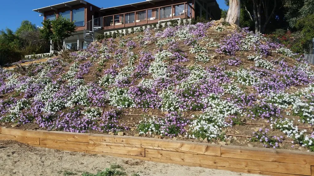Local yard cleanup service for residential properties across Reseda, CA - Garcia Gardening Services