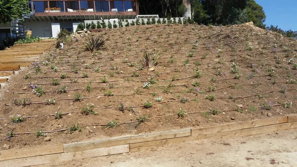 Reliable residential landscaping experts serving Reseda, CA - Garcia Gardening Services