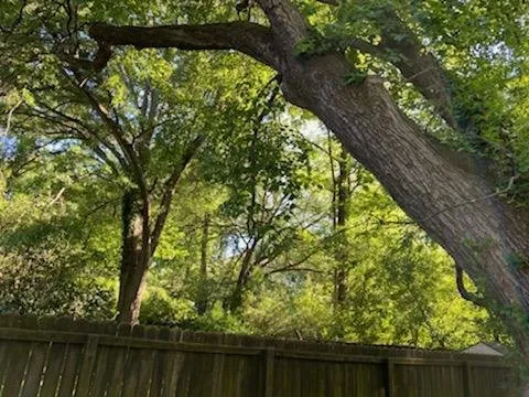 Professional lawn care service in Fayetteville, GA by Garcia General Services