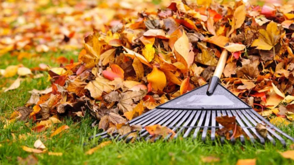 Local lawn mowing service experts serving Olathe, KS - Garcia Great Works