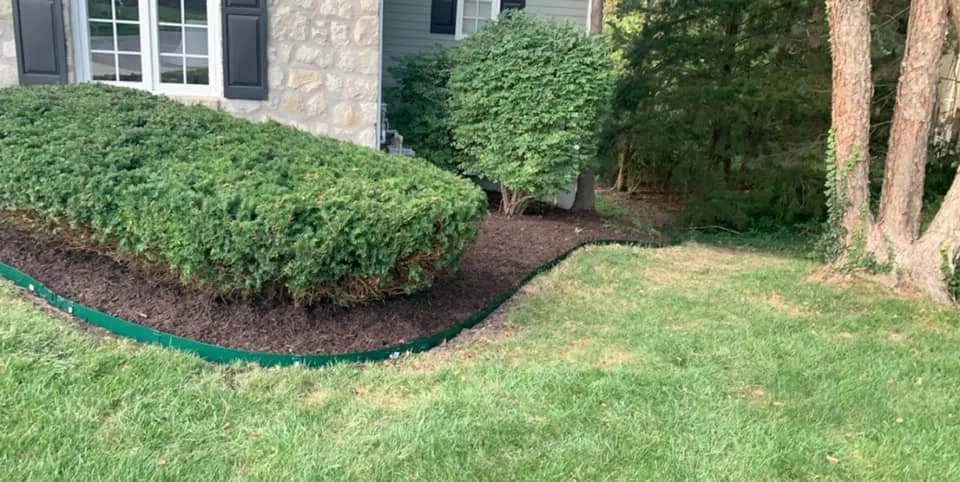 Reliable yard cleanup service experts serving Olathe, KS - Garcia Great Works