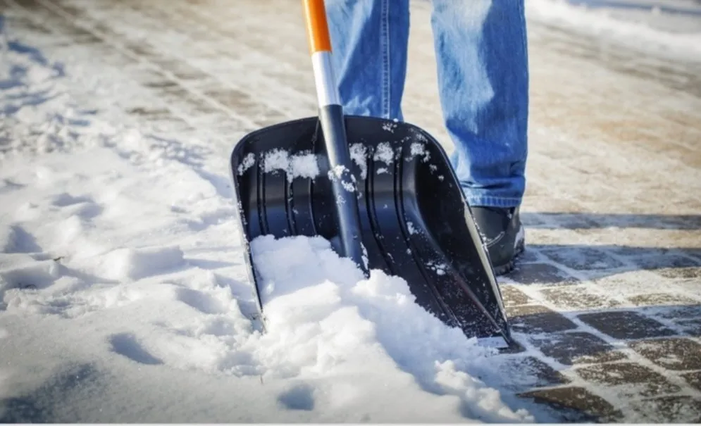 Local yard cleanup service in Olathe, KS - Garcia Great Works