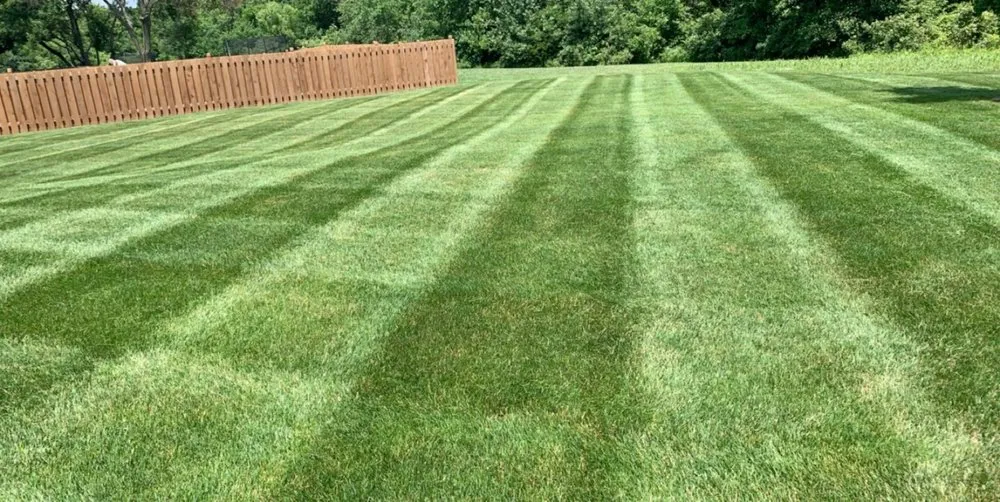 Top-rated lawn mowing service experts serving Olathe, KS - Garcia Great Works