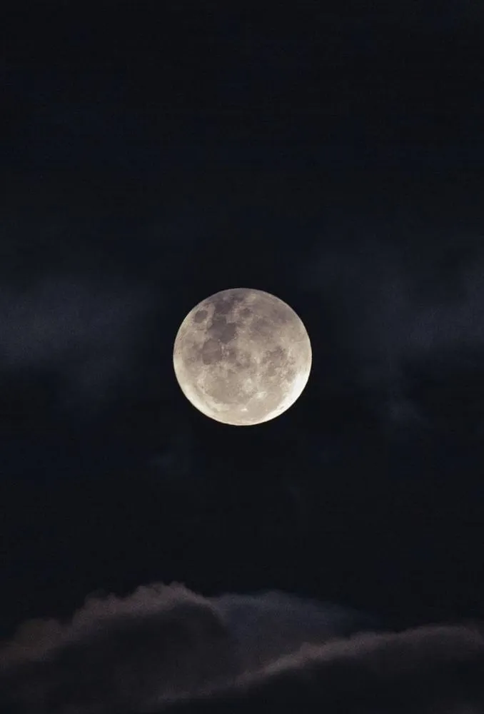 Expert lawn mowing service in Silver Spring, MD by Garcia hardscaper