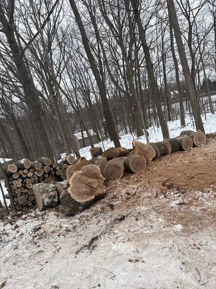 Expert lawn care service for year-round maintenance across Pontiac, MI - Garcia Landscape & Tree service