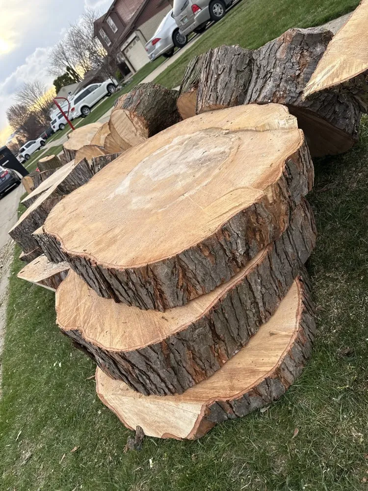 Affordable lawn mowing service in Pontiac, MI by Garcia Landscape & Tree service