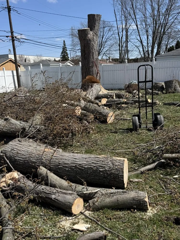 Top-rated landscape design in Pontiac, MI - Garcia Landscape & Tree service