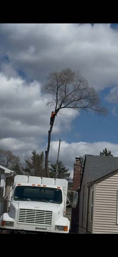 Expert landscape installation in Pontiac, MI - Garcia Landscape & Tree service
