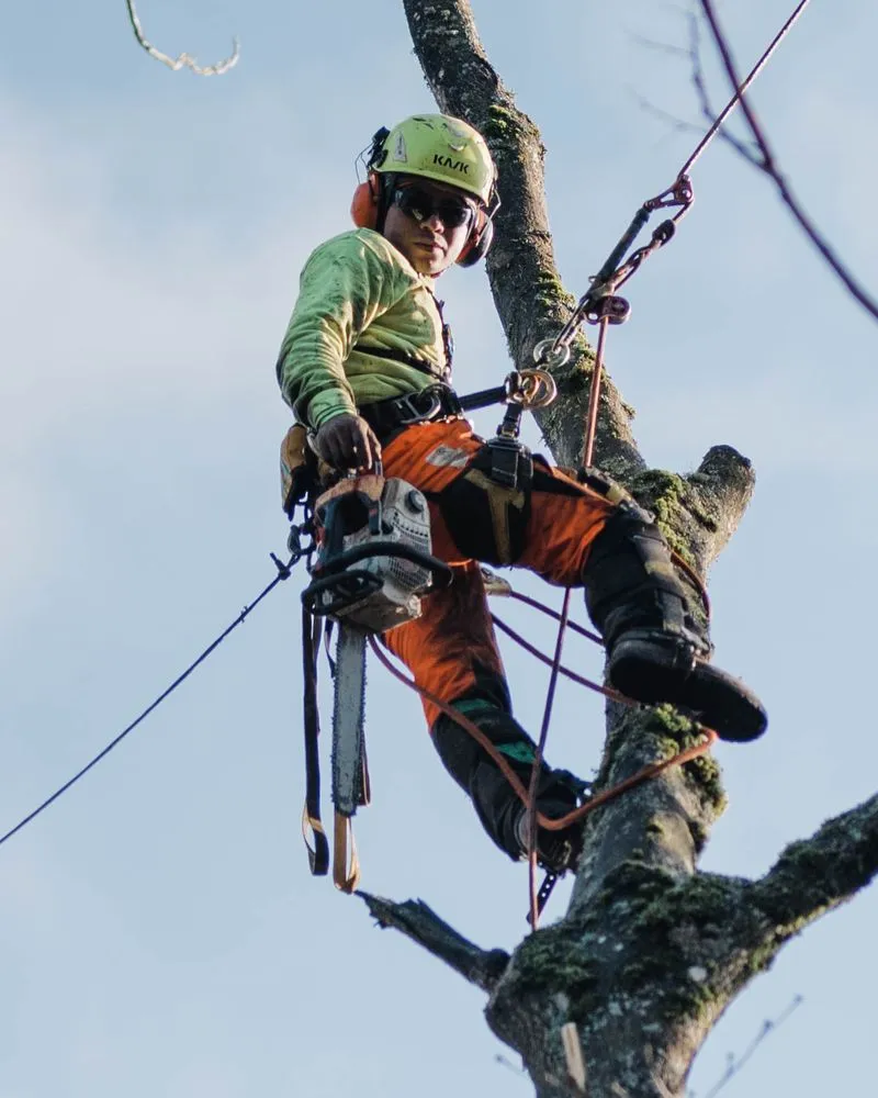 Reliable landscaping services for outdoor upgrades in Pontiac, MI by Garcia Landscape & Tree service